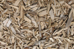 biomass boilers Waterton